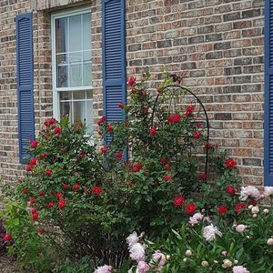 Meet your Posher, Patti